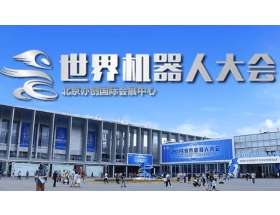 2021世界機(jī)器人大會(huì)
